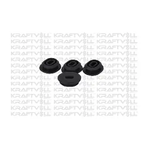 10010341 KRAFTVOLL GERMANY