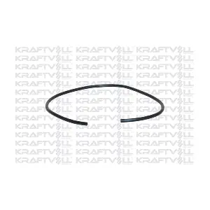 7700560171 RENAULT
