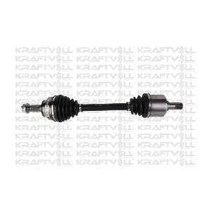 01010381 KRAFTVOLL GERMANY