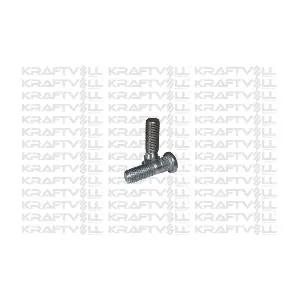 KRAFTVOLL GERMANY 21020026