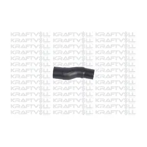 10031900 KRAFTVOLL GERMANY