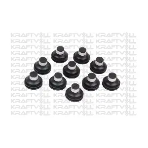 10080018 KRAFTVOLL GERMANY