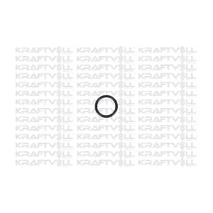 10060373 KRAFTVOLL GERMANY