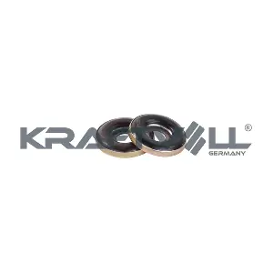 10010606 KRAFTVOLL GERMANY