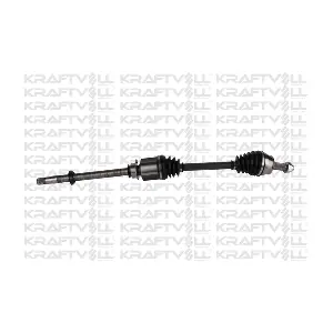 01010298 KRAFTVOLL GERMANY