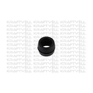 21030490 KRAFTVOLL GERMANY