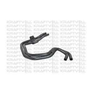 12723 IBRAS