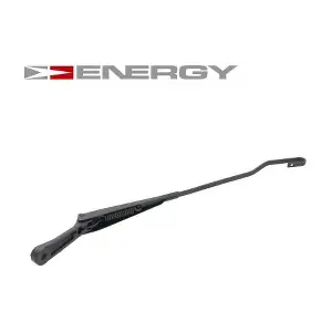 RWP0004L ENERGY