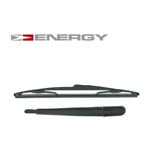 RWT0036 ENERGY