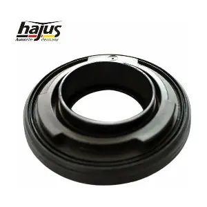 1151702 hajus Autoteile