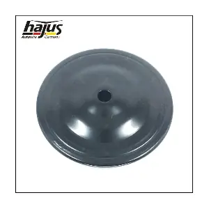 4121001 hajus Autoteile