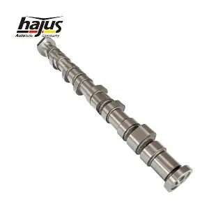 1091095 hajus Autoteile