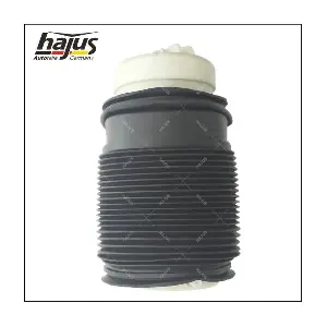 4121082 hajus Autoteile