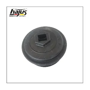 1151586 hajus Autoteile