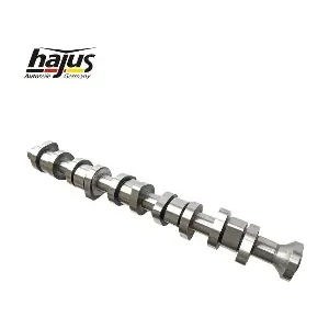 1091085 hajus Autoteile
