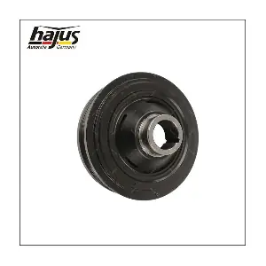 1091078 hajus Autoteile