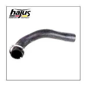 1451096 hajus Autoteile