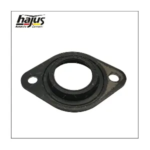 1450012 hajus Autoteile