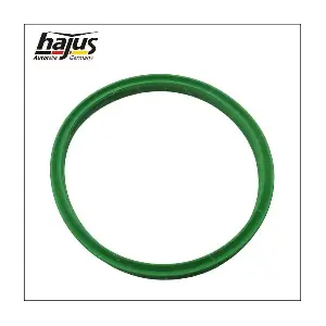 hajus Autoteile 1450009