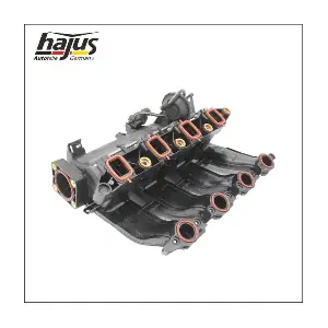 2511063 hajus Autoteile
