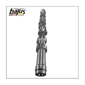 hajus Autoteile 1091057