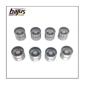 1151247 hajus Autoteile