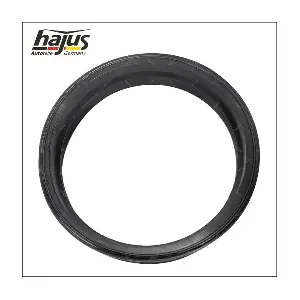1271078 hajus Autoteile
