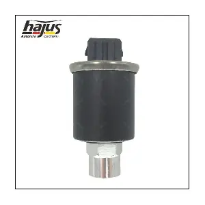 8201002 hajus Autoteile