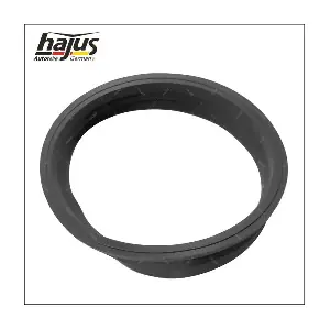 1271077 hajus Autoteile
