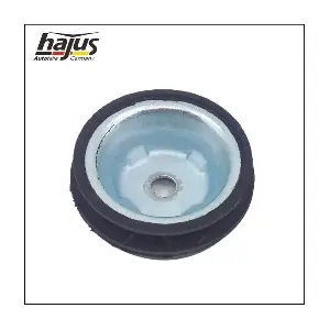 hajus Autoteile 4121025