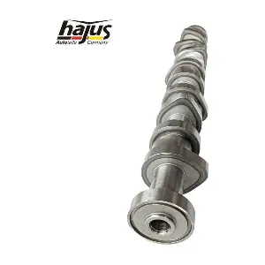 1091086 hajus Autoteile