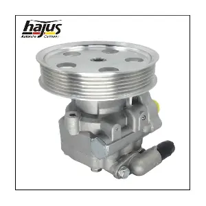 4221024 hajus Autoteile