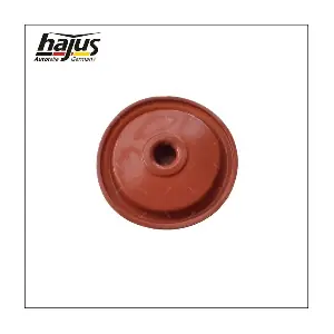1151570 hajus Autoteile