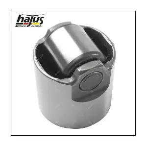 1091050 hajus Autoteile