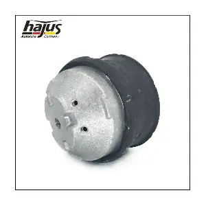 1151231 hajus Autoteile