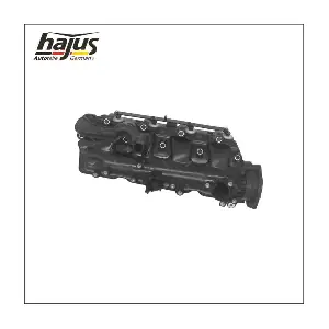 2511058 hajus Autoteile