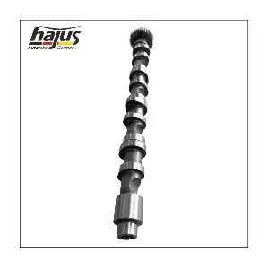 1091061 hajus Autoteile