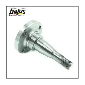 4071067 hajus Autoteile
