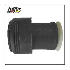 4121088 hajus Autoteile