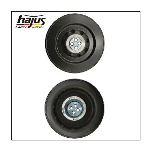 1091081 hajus Autoteile