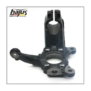 4051007 hajus Autoteile