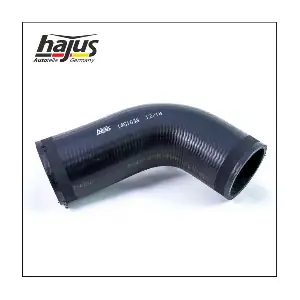 1451038 hajus Autoteile