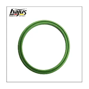 hajus Autoteile 1450008