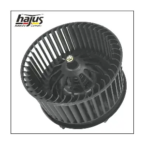 8191073 hajus Autoteile