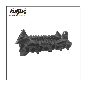 2511065 hajus Autoteile