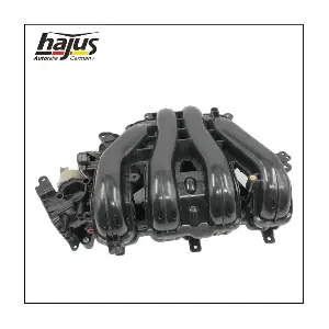 2511019 hajus Autoteile
