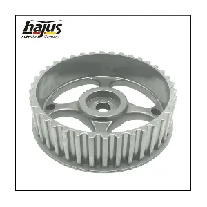 1091007 hajus Autoteile