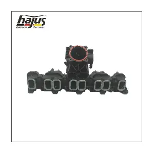 2511054 hajus Autoteile