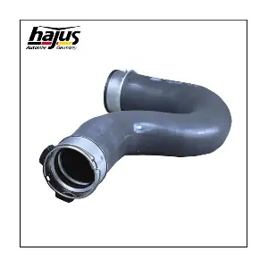 1451039 hajus Autoteile