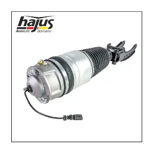 4121109 hajus Autoteile